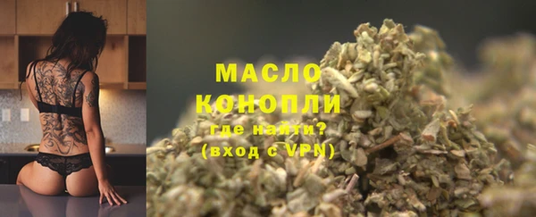 ешки Бородино