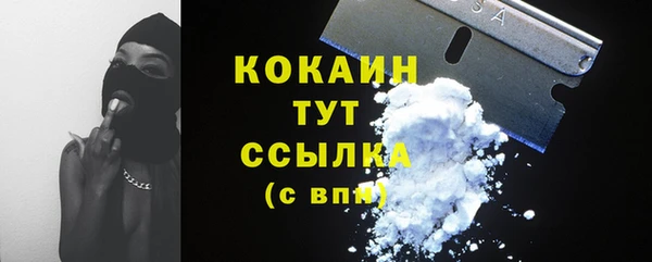 ешки Бородино