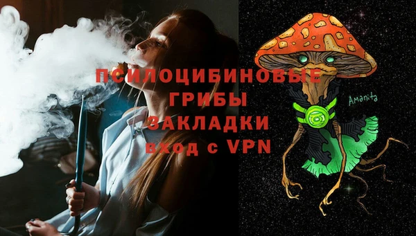 ешки Бородино