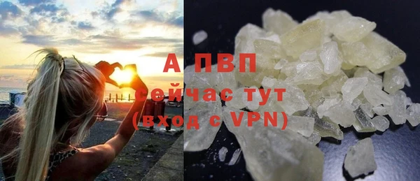 ешки Бородино