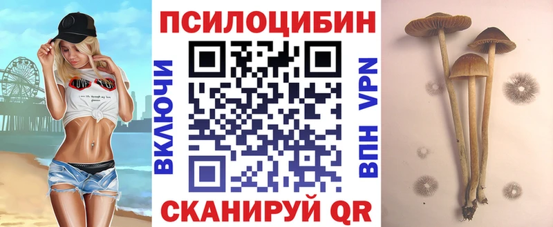 Купить Павловский Посад Псилоцибиновые грибы мицелий